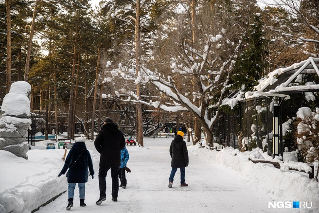 Выполнить работы необходимо до 31 декабря | Источник: Александр Ощепков / NGS.RU
