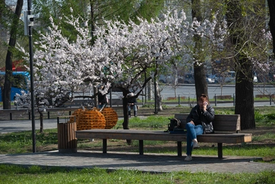 Сквер городов-побратимов во Владивостоке реконструируют за 37 млн