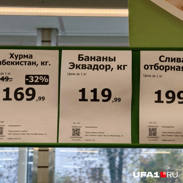 Источник: Булат Салихов / UFA1.RU
