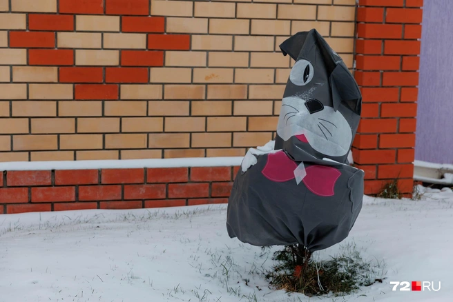 Владельцы разноцветного дома позаботились о кустарниках и укрыли их от холодов в такие вот накидки | Источник: Ирина Шарова / 72.RU