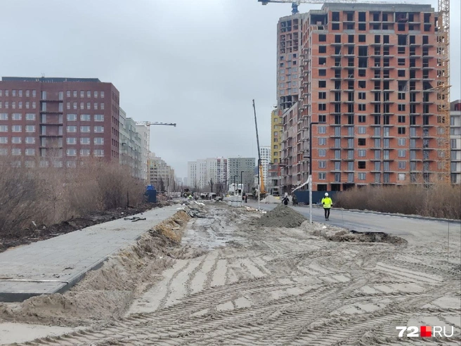 Как думаете, дорогу продолжат? | Источник: 72.RU