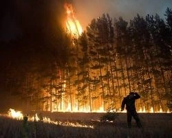 В Красноярском крае за сутки потушили 15 лесных пожаров | ngs24.ru