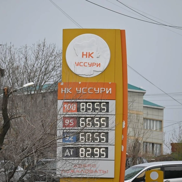 Источник: Елена Буйвол / VLADIVOSTOK1.RU