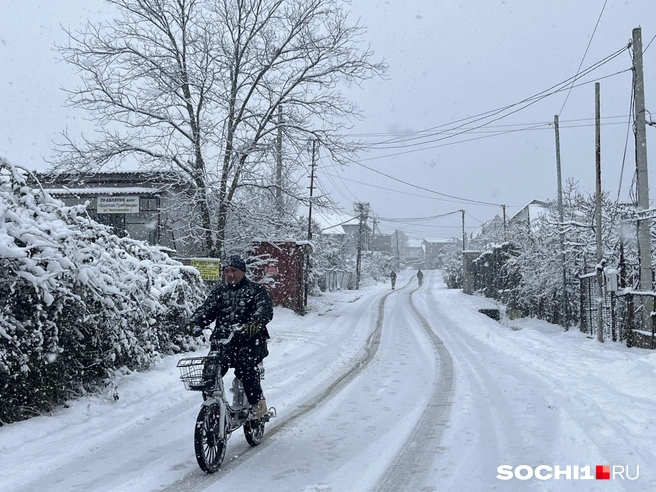 Самый надежный транспорт на все времена  | Источник: Анна Грицевич / SOCHI1.RU