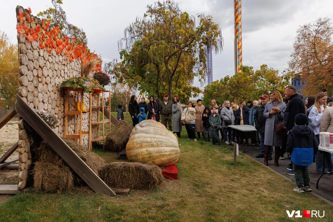 Обе тыквы были привезены в парк 4 октября | Источник: Алексей Волхонский / V1.RU