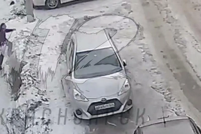 Бродячая собака напала на ребёнка в Красноярске