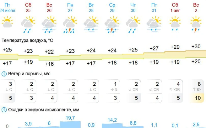 Сервис ожидает грозу | Источник: Gismeteo.ru