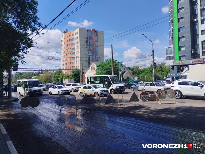 Источник: Дмитрий Волгин / Voronezh1.ru