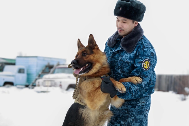 Без большого сердца в кинологию путь заказан | Источник: пресс-служба УФСИН по Якутии