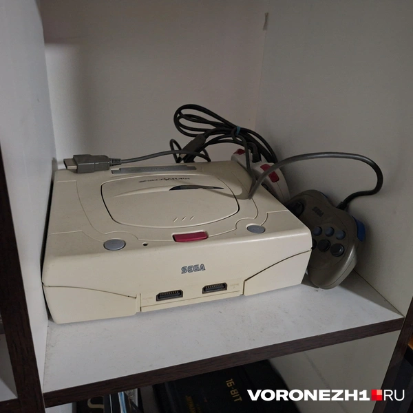 Источник: Алёна Воропаева / Voronezh1.ru