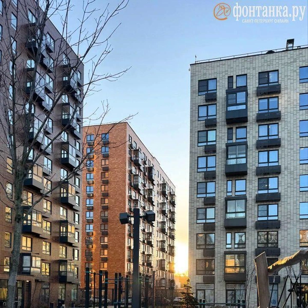Источник: читатель «Фонтанки»