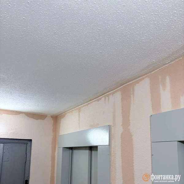 Источник: читатель «Фонтанки» Владимир
