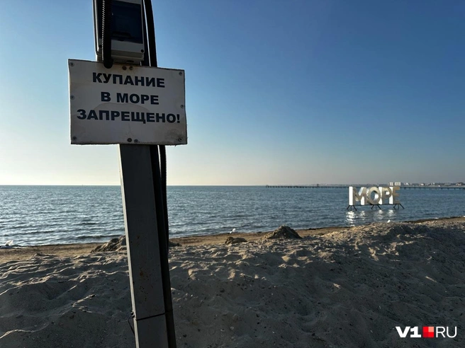 Насколько долго продержится запрет, неизвестно | Источник: Арина Рязанова / V1.RU