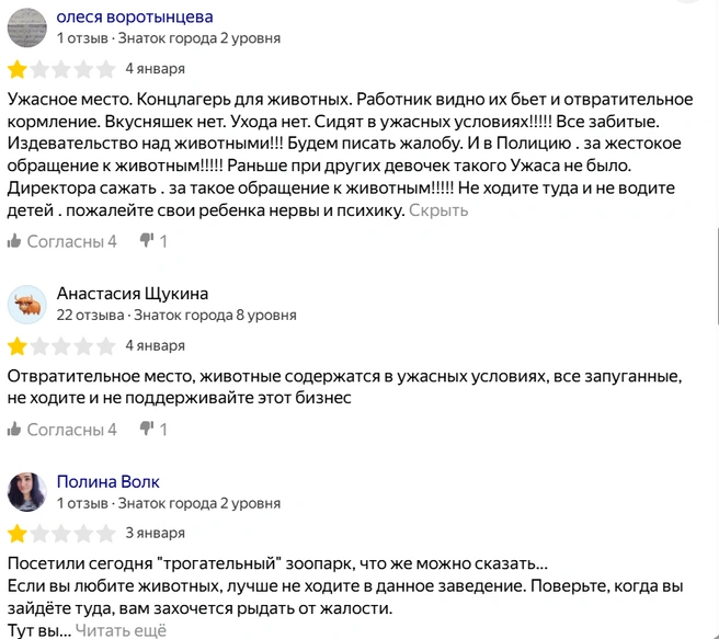 Отзывы, после которых Тина решила написать петицию | Источник: Yandex.ru/maps