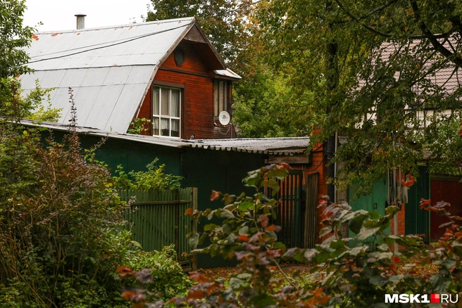 В Переделкино в начале сентября настоящая осенняя сказка | Источник: Артем Устюжанин / MSK1.RU