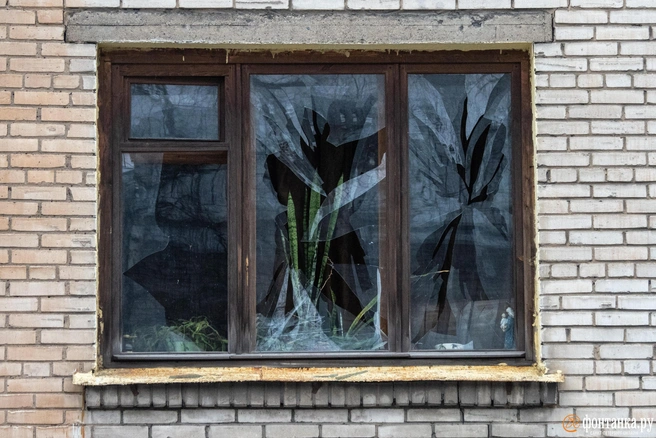 Как получить компенсацию за ущерб после атаки БПЛА | Источник: Михаил Огнев / FONTANKA.RU
