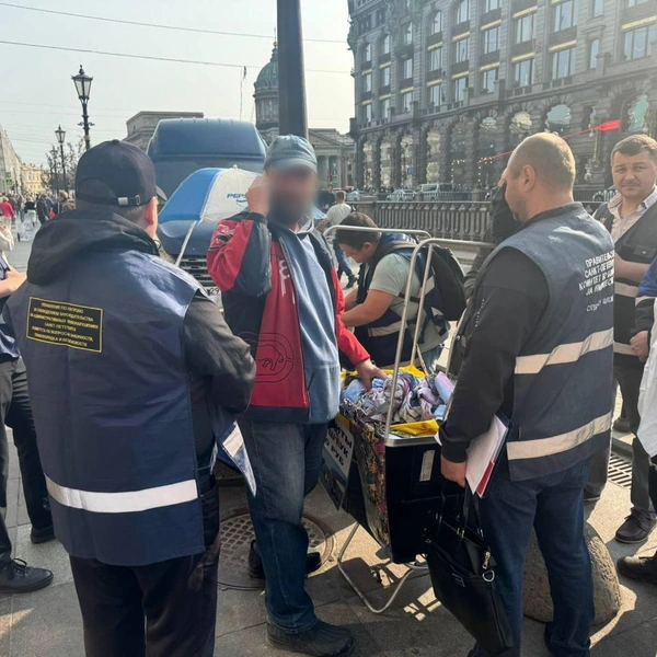 Источник: Комитет по законности СПб