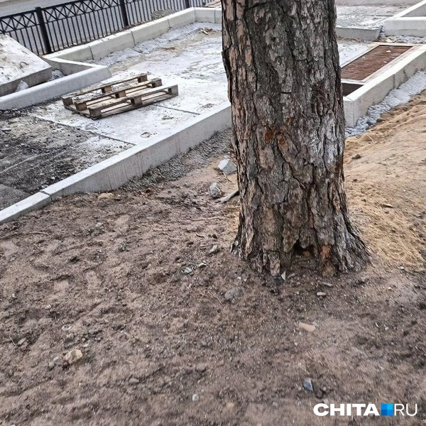 Источник: очевидец