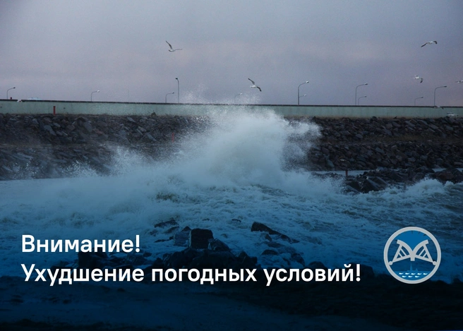 Очень опасно. Петербуржцев попросили не плавать в Финском заливе и не гулять по берегу | www.fontanka.ru