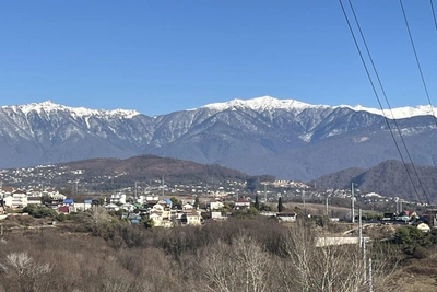 141 семья в Сочи получила 300 тыс. рублей вместо земельного участка