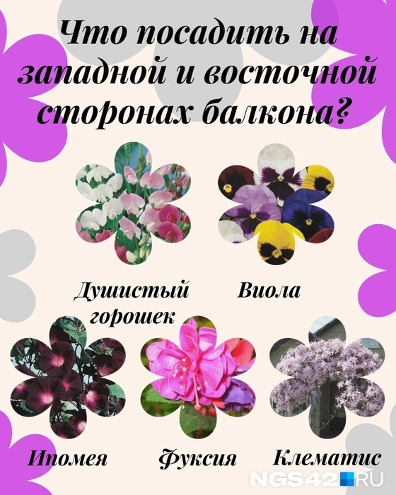 Источник: Татьяна Ирискина / NGS42.RU