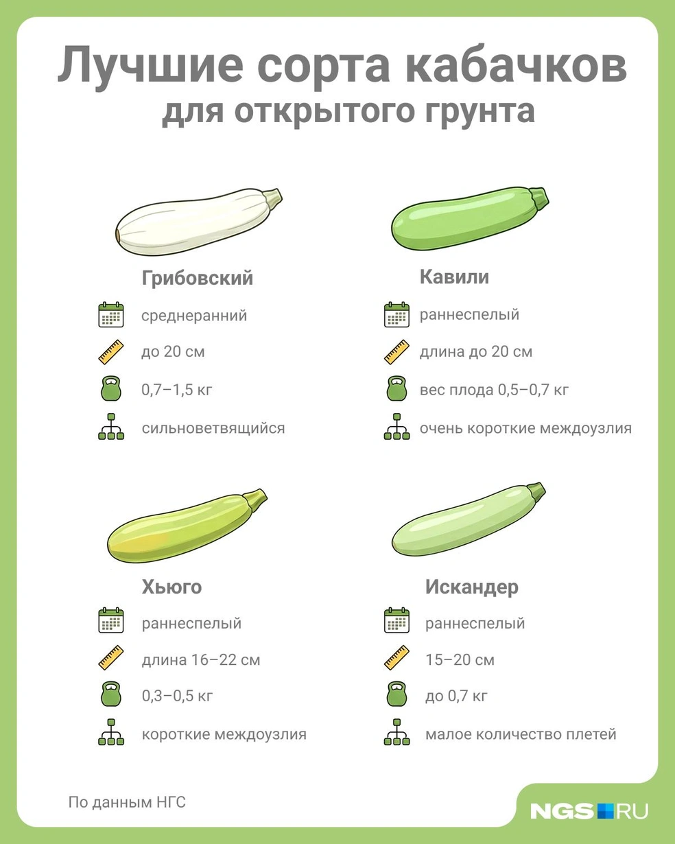 Источник: Юрий Орлов / Городские медиа