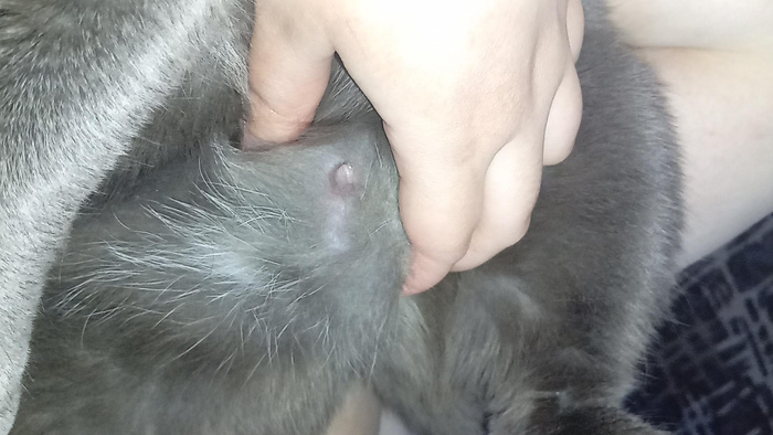 Изображение пользователя