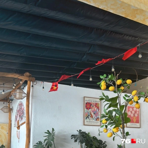 Ходить лучше только в проверенные заведения | Источник: Екатерина