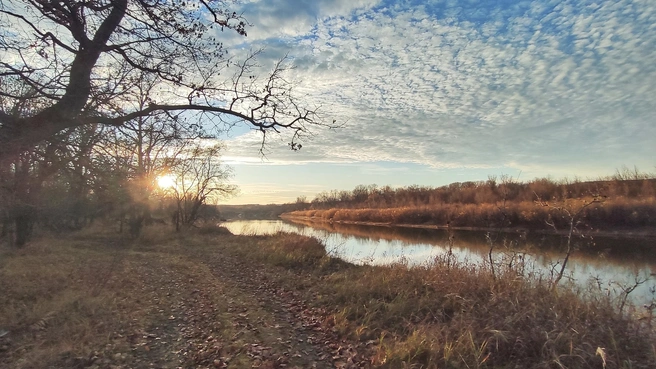 Источник: Ирина Голоколенова