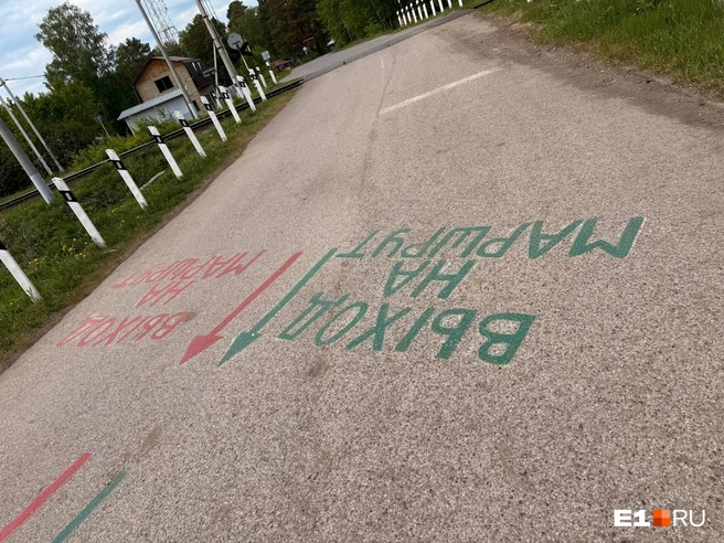 В парке везде есть указатели | Источник: Дарья Костомина / E1.RU