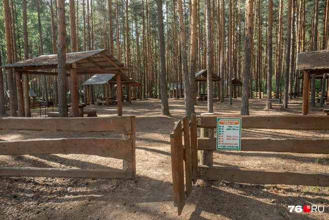 На территории предлагают много платных форматов отдыха. От крытых беседок с мангалом до целого участка на берегу озера и мини-домика с отоплением | Источник: Александр Куренной / 76.RU