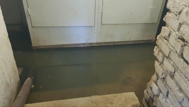 В подвале стоит вода уже больше недели  | Источник: читательница НГС
