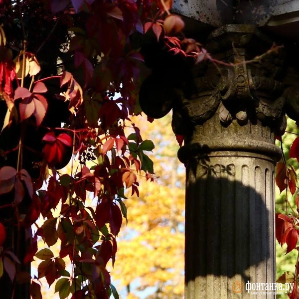 Источник: Лада Шаталова / читательница «Фонтанки»