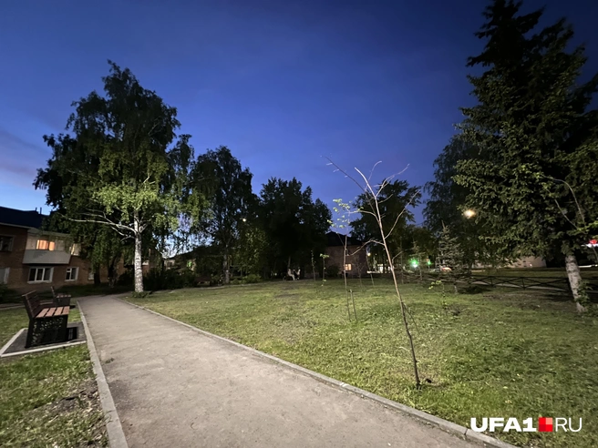 Просто сквер посреди улицы в Туймазах | Источник: Андрей Бирюков / UFA1.RU