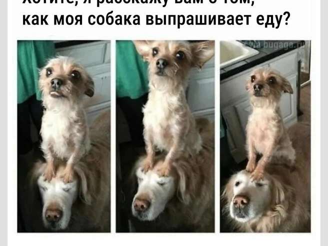 Эти ребята — мастера своего дела | Источник: Городские медиа