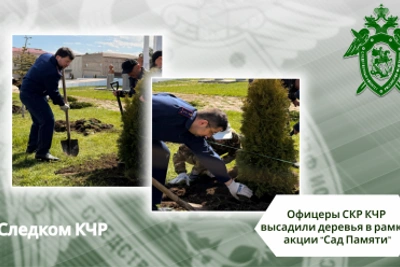 Сотрудники СК в КЧР высадили Сад Памяти