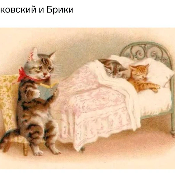 Источник: соцсети