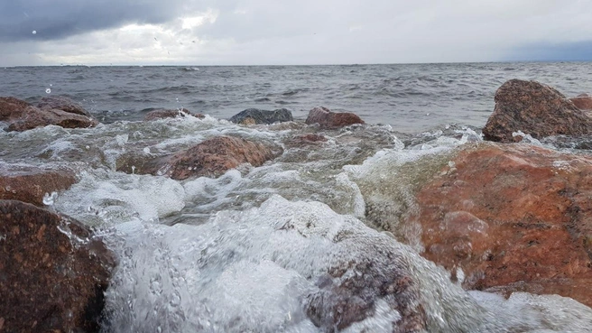 Специалисты КЗС рассказали, ждать ли наводнения в Петербурге из-за циклона QUIRIN | Источник: Дирекция КЗС