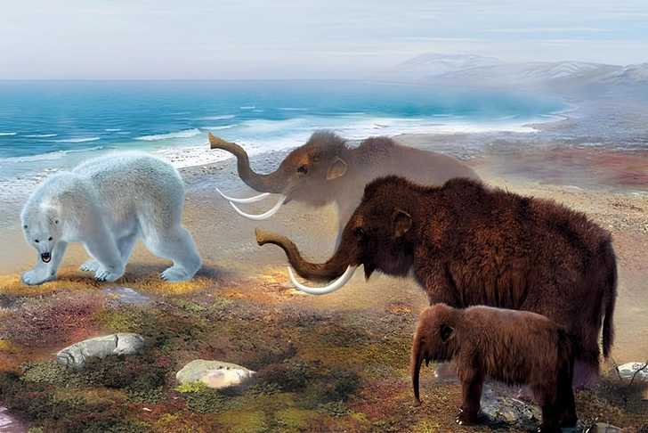 Мамонты на острове Врангеля | Источник: Вокруг света