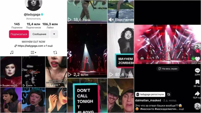 Леди Гаге понравился номер Далматина | Источник: Скриншот tiktok.com / @ladygaga