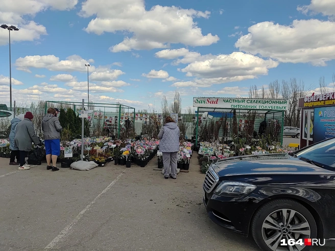 Тяга к родным советским шести соткам не миновала даже состоятельных саратовцев | Источник: Сергей Гендин / 164.RU