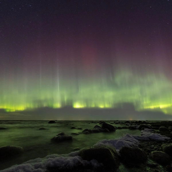 Источник: Катя Стрельникова/АстроФотоБолото ✨ Атмосферное/Telegram