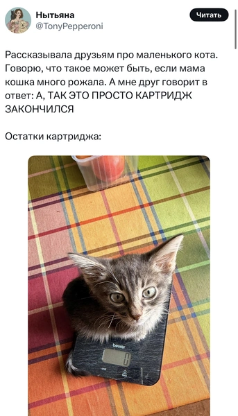 Источник: X (Twitter)