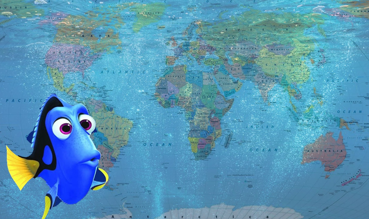 рыба на карте