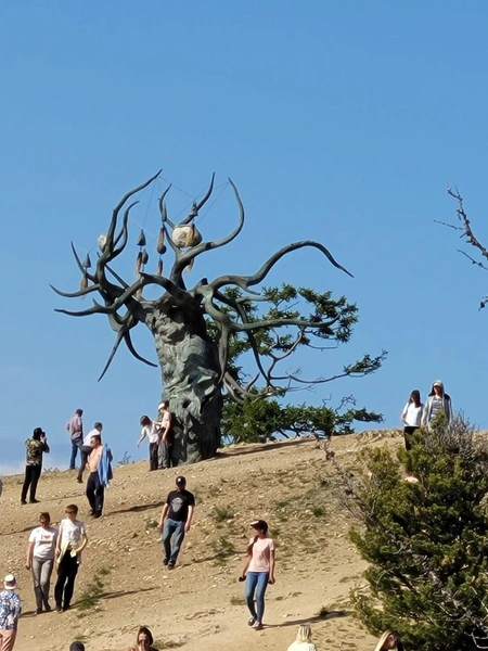 Источник: «Кристальный Байкал»