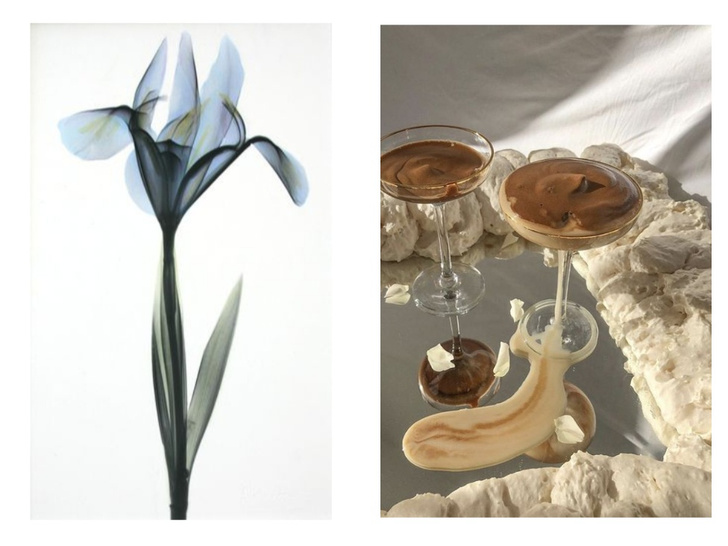 Цвета кофе и с запахом ириса: новый аромат Guerlain