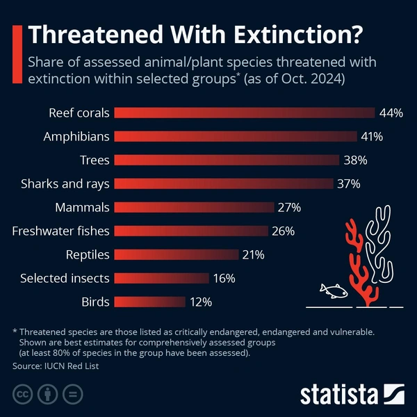 Инфографика: какая доля видов разных животных и растений находится под угрозой исчезновения в 2024 году