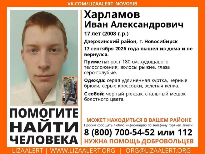 Ориентировку опубликовали волонтеры отряда «ЛизаАлерт» | Источник: «Поисковый отряд ЛизаАлерт Новосибирской области» / «ВКонтакте»