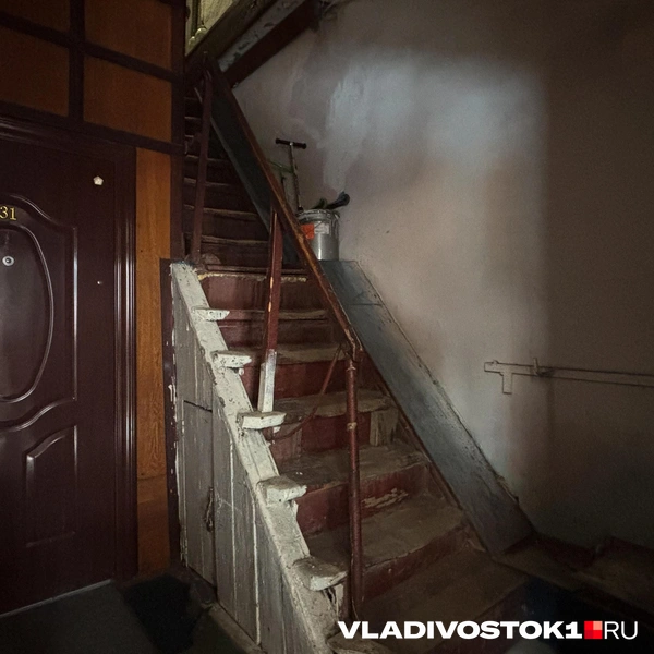 Источник: Елена Буйвол / VLADIVOSTOK1.RU