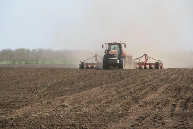 Засуха угрожает севу озимой пшеницы | Источник: donland.ru